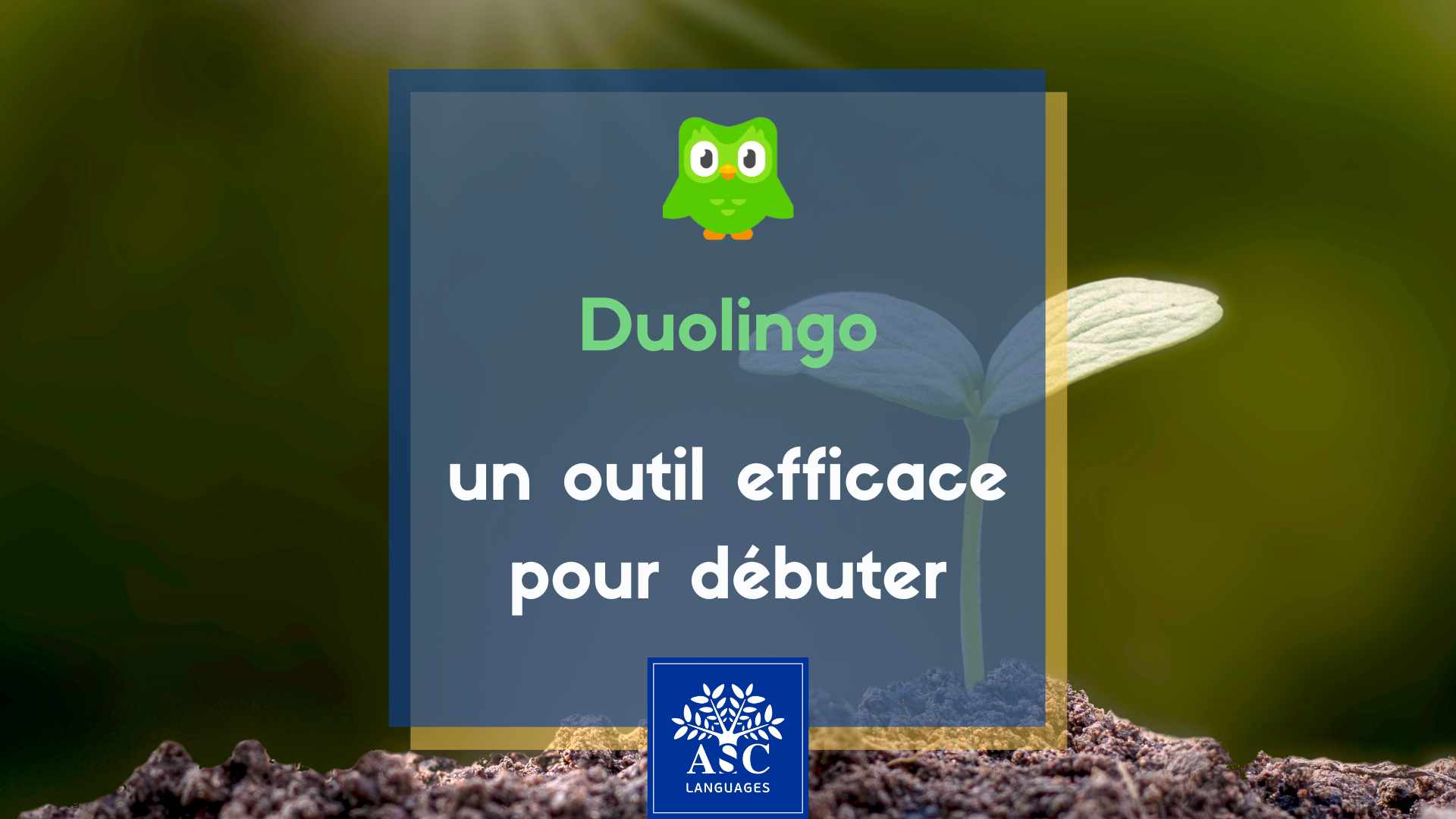 Duolingo un outil efficace pour commencer à apprendre une langue