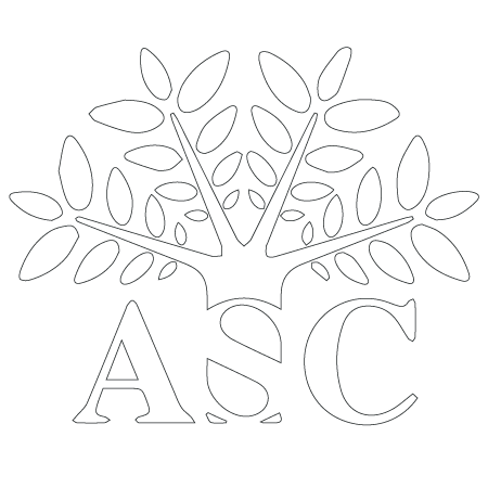 transpa-logo